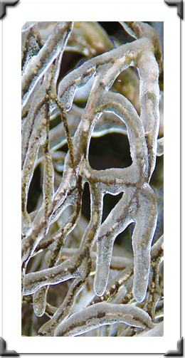 The London Art Museum Online