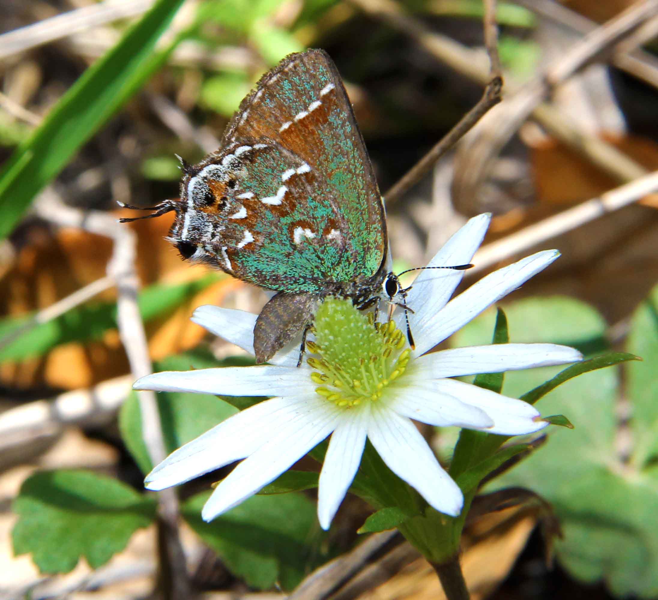 London Art Gallery Exhibition 2021