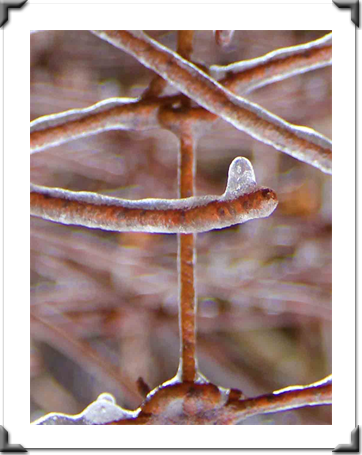 The London Art Museum Online