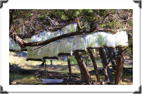 The London Art Museum Online