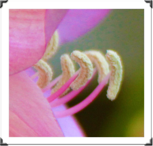 The London Art Museum Online