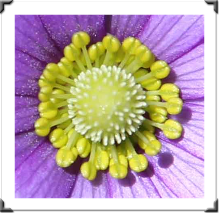 London Art Exhibition 2021