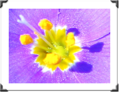 London Art Exhibition 2021