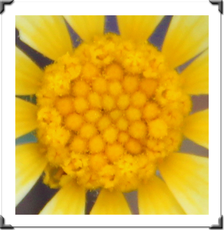 Multidimensional Art Museum Exhibitions