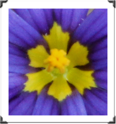 London Art Exhibition 2021