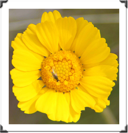 Multidimensional Art Museum Exhibitions