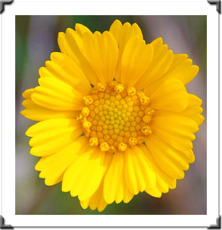 Multidimensional Art Museum Exhibitions