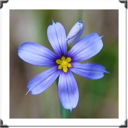 London Art Exhibition 2021