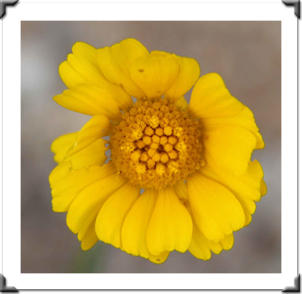 Multidimensional Art Museum Exhibitions