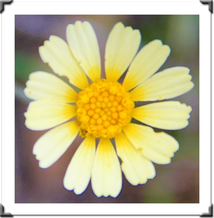 Multidimensional Art Museum Exhibitions