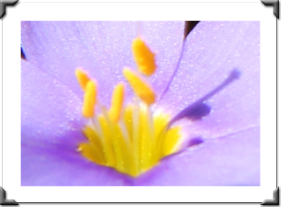 London Art Exhibition 2021