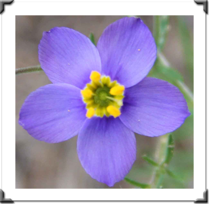 London Art Exhibition 2021