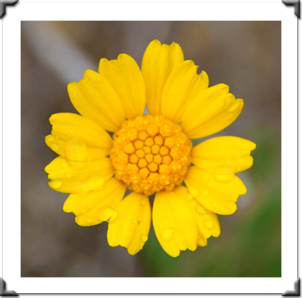 Multidimensional Art Museum Exhibitions