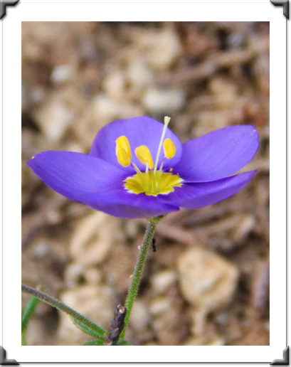 London Art Exhibition 2021