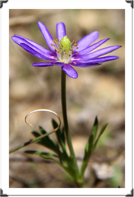 London Art Exhibition 2021