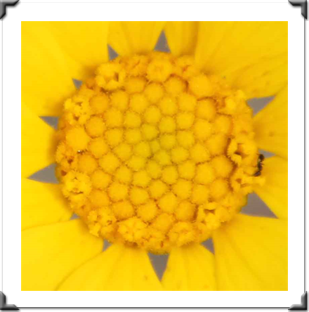 Multidimensional Art Museum Exhibitions