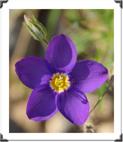 London Art Exhibition 2021