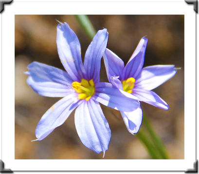 London Art Exhibition 2021