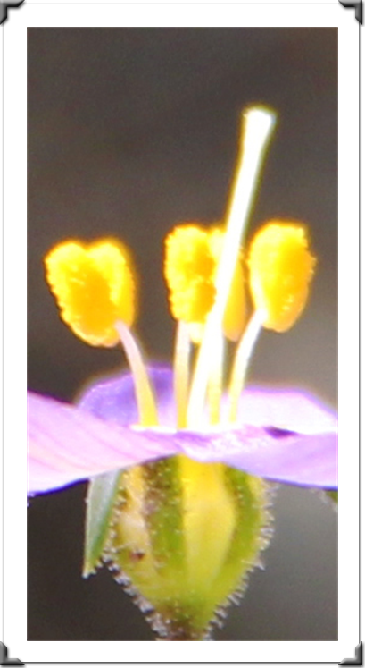 London Art Exhibition 2021