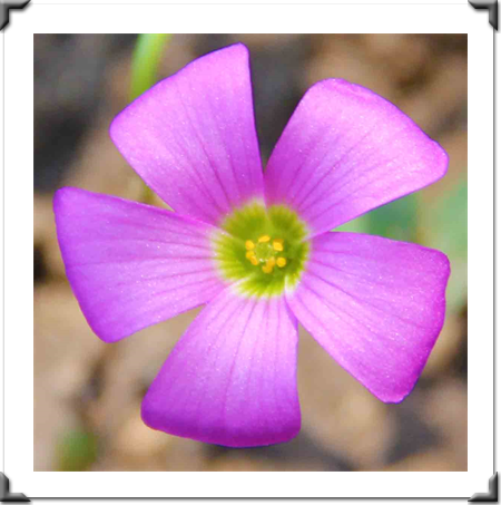 London Art Exhibition 2021