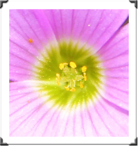 London Art Exhibition 2021