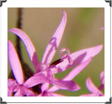 London Art Exhibition 2021