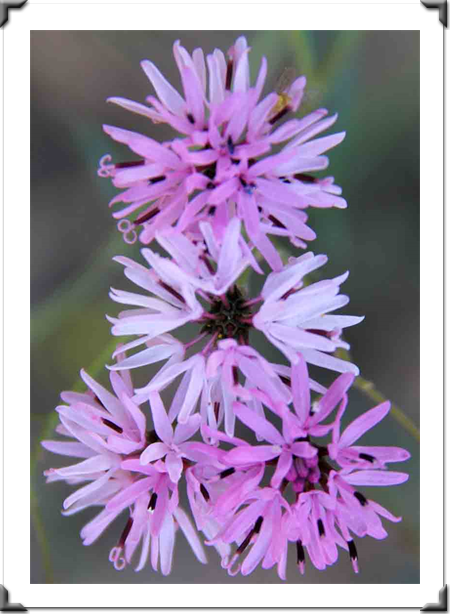 London Art Exhibition 2021