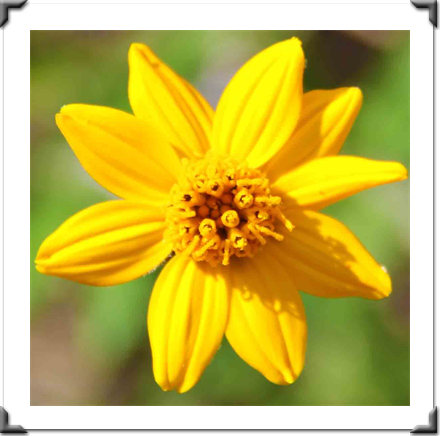 Multidimensional Art Museum Exhibitions