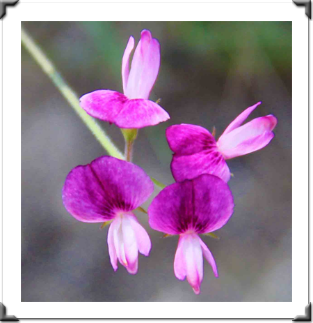 London Art Exhibition 2021