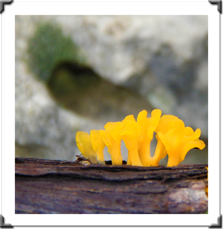 London Art Exhibition 2021