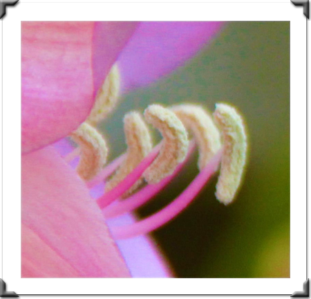 London Art Exhibition 2021