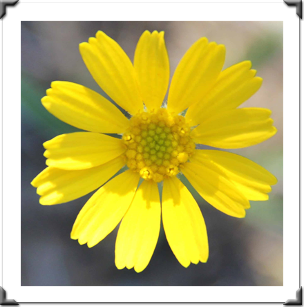 Multidimensional Art Museum Exhibitions