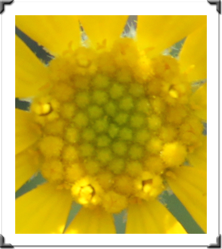 Multidimensional Art Museum Exhibitions