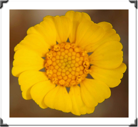 Multidimensional Art Museum Exhibitions