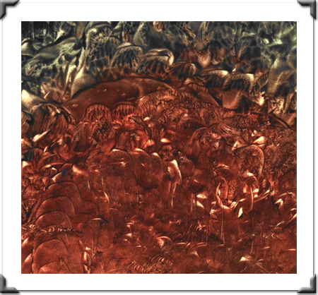 Zooms Of Love By Artist DAPACU