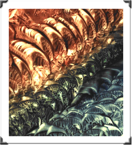 Zooms Of Love By Artist DAPACU