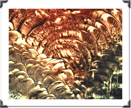 Zooms Of Love By Artist DAPACU