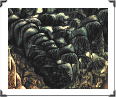 Zooms Of Love By Artist DAPACU